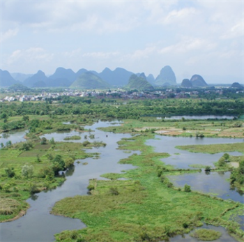 桂江湿地