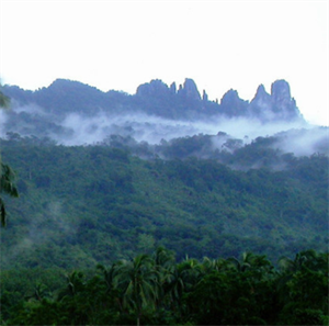 五指山热带雨林风景区